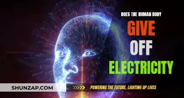 The Human Body: An Electric Powerhouse?