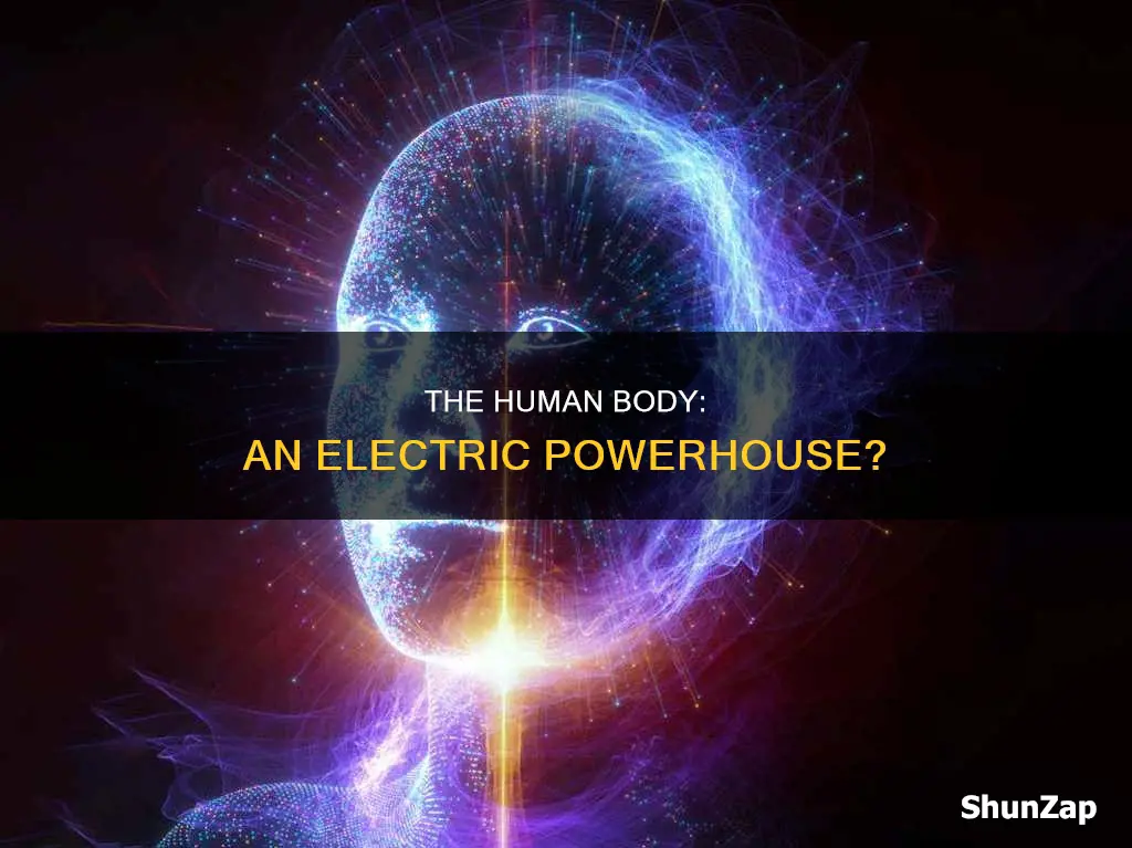 does the human body give off electricity