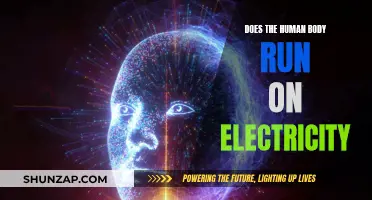 The Human Body: An Electric Machine?