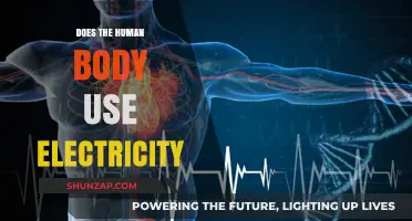 Exploring the Electric Nature of Human Biology