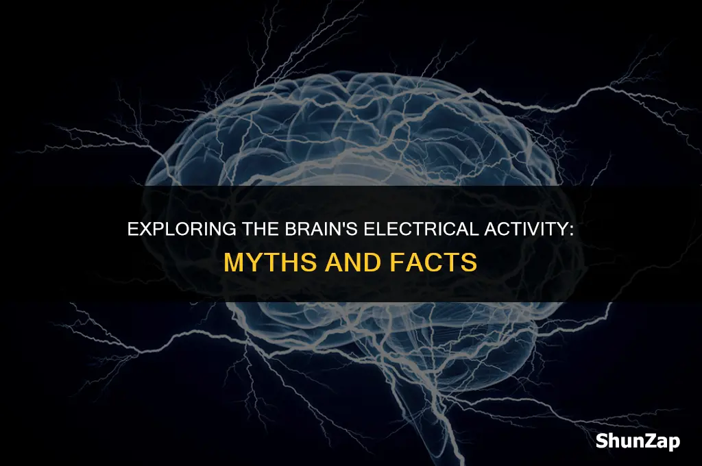 does the human brain use electricity