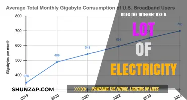 Powering the Web: Unveiling the Internet's Electricity Consumption