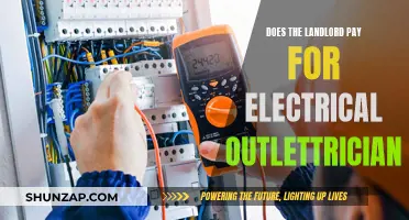 Electrical Repairs: Landlord's Responsibility or Tenant's Burden?