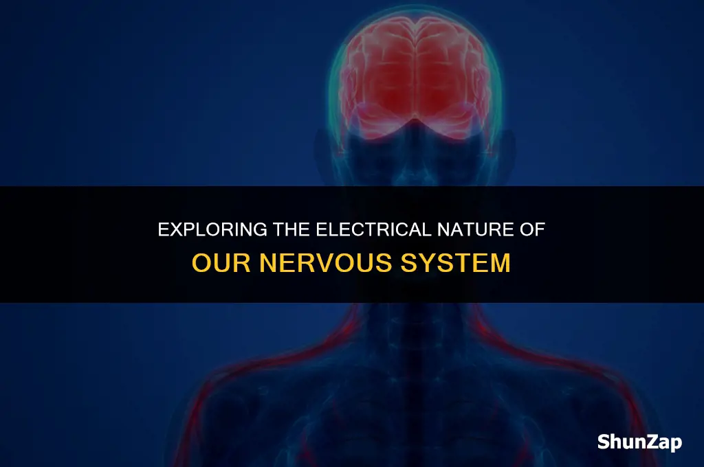does the nervous system use electricity
