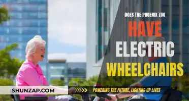 Electric Wheelchairs: Phoenix Zoo's Accessibility Offering