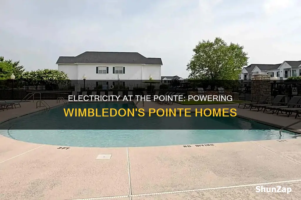 does the pointe at wimbledon include electric