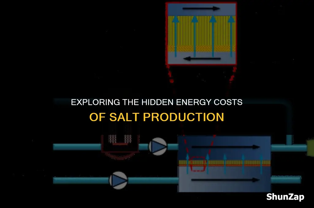 does the produce of salt use electricity