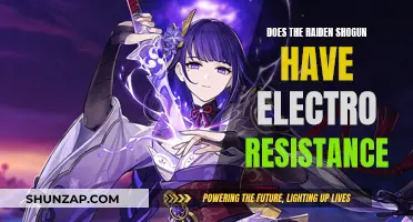 Raiden Shogun: Analyzing Electro Resistance and Its Impact