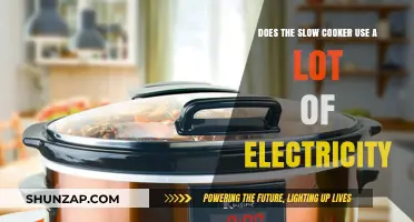 Slow Cooker Energy Efficiency: How Much Electricity Does It Use?