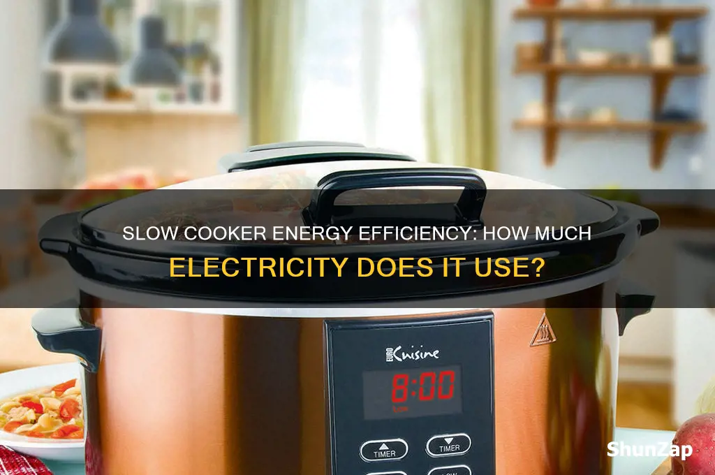 does the slow cooker use a lot of electricity
