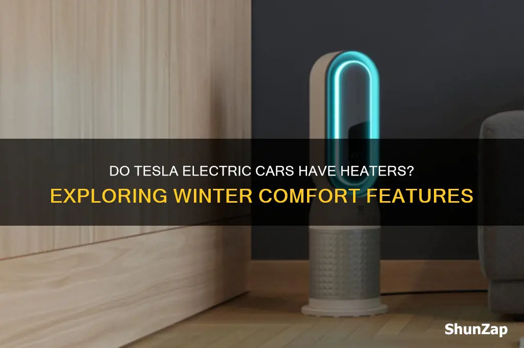 does the telsa electric cars have heaters