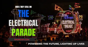 The Electrical Parade: Is It Still Happening?