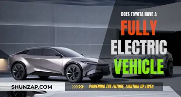 Toyota's Electric Revolution: Exploring the Future of Fully Electric Vehicles