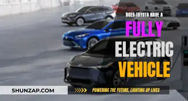 Toyota's Electric Vehicle Plans: Fully Charged or Just Sparking?