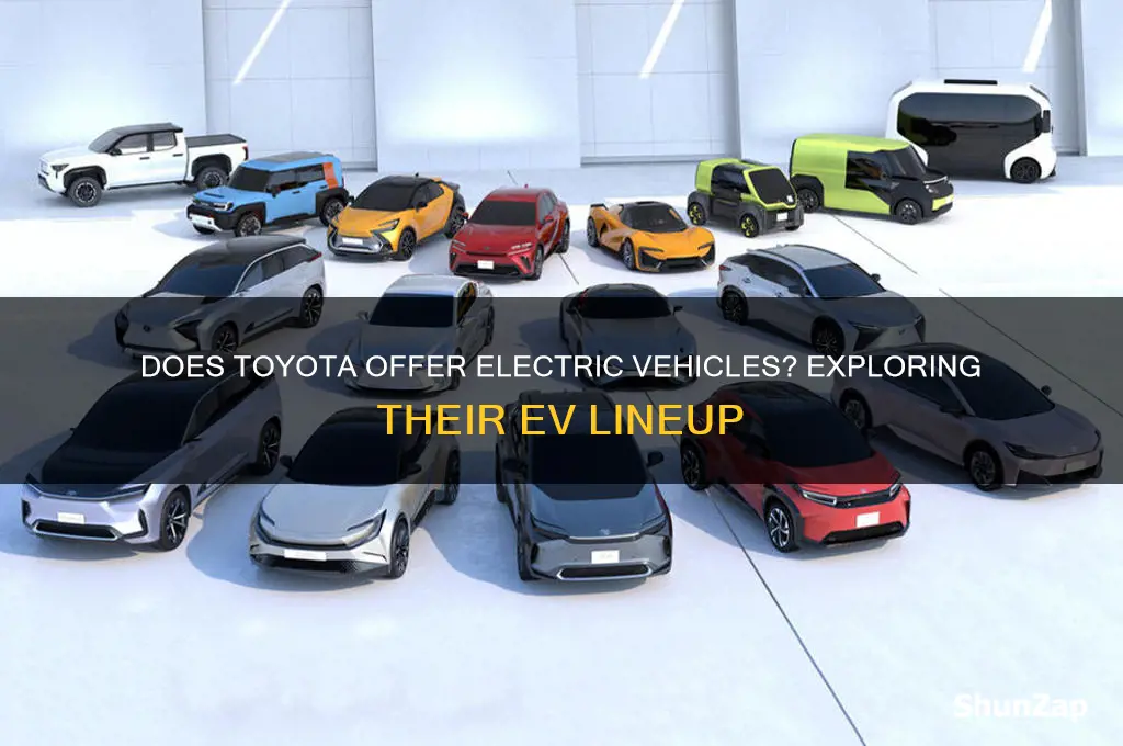 does toyota sell electric cars