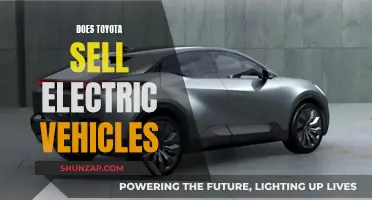 Toyota's Electric Vehicle Sales: Exploring the Options