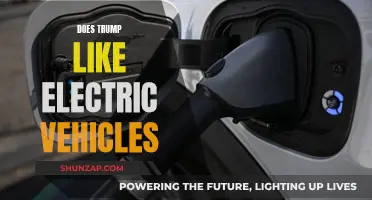 Trump's Take on Electric Vehicles: Love or Hate?