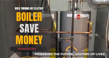 Electric Boilers: Turn Off to Save Money?