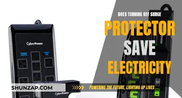 Surge Protectors: Electricity Saving or Myth?