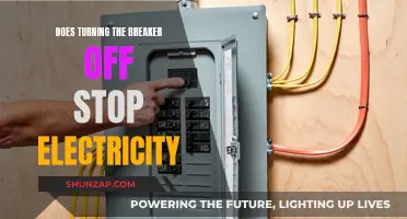 Breaking the Breaker: Electricity Control at Home