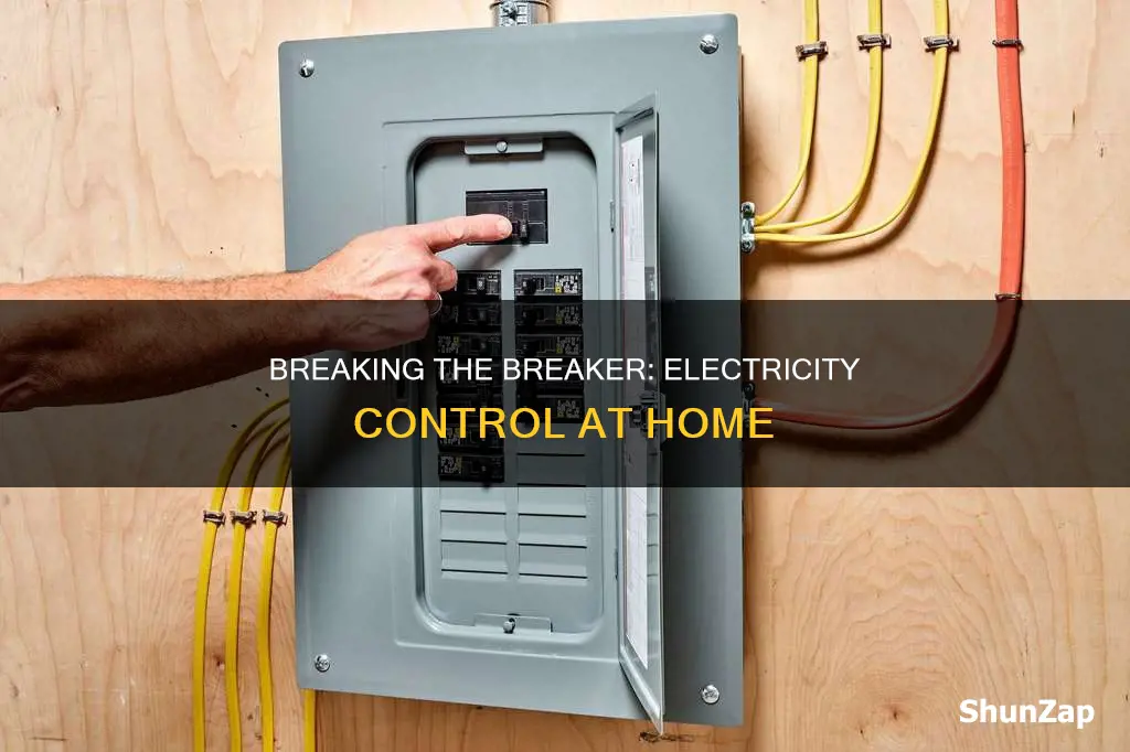 does turning the breaker off stop electricity