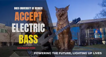 Denver University's Electric Bass Program: What You Need to Know