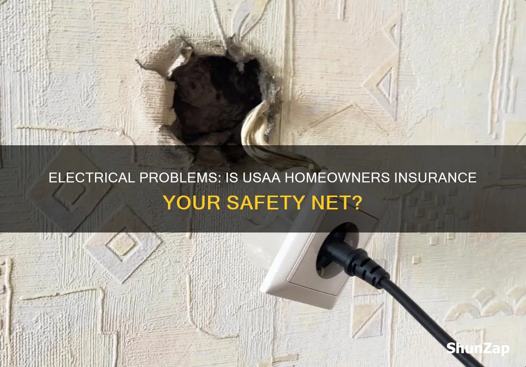 does usaa homeowners insurance cover electrical problems