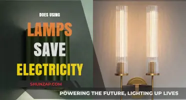 Lamps vs. Overhead Lights: Which Saves More Electricity?