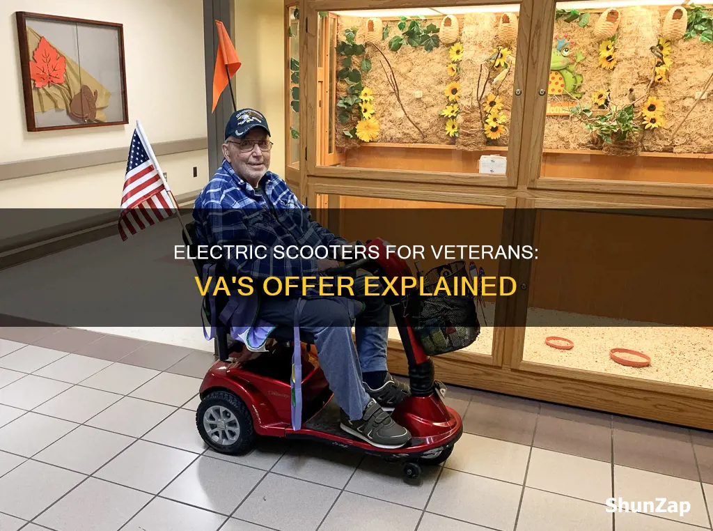 does va offer electric scooters for veterans