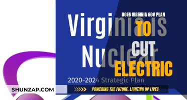 Virginia's Plan to Cut Electric: What's the Governor's Take?