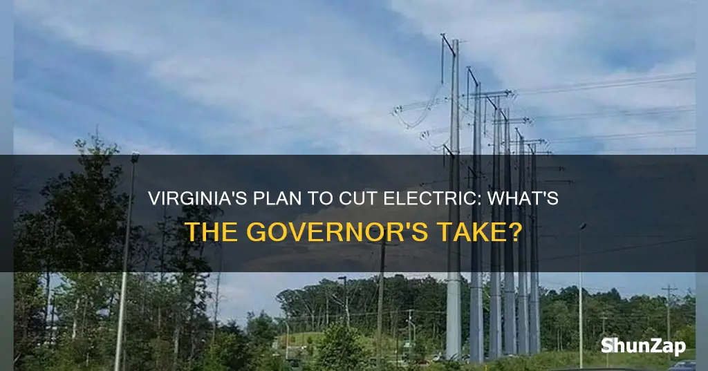 does virginia gov plan to cut electric