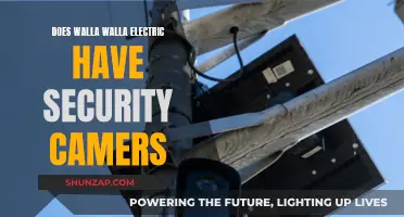 Walla Walla Electric: Are Security Cameras Watching?