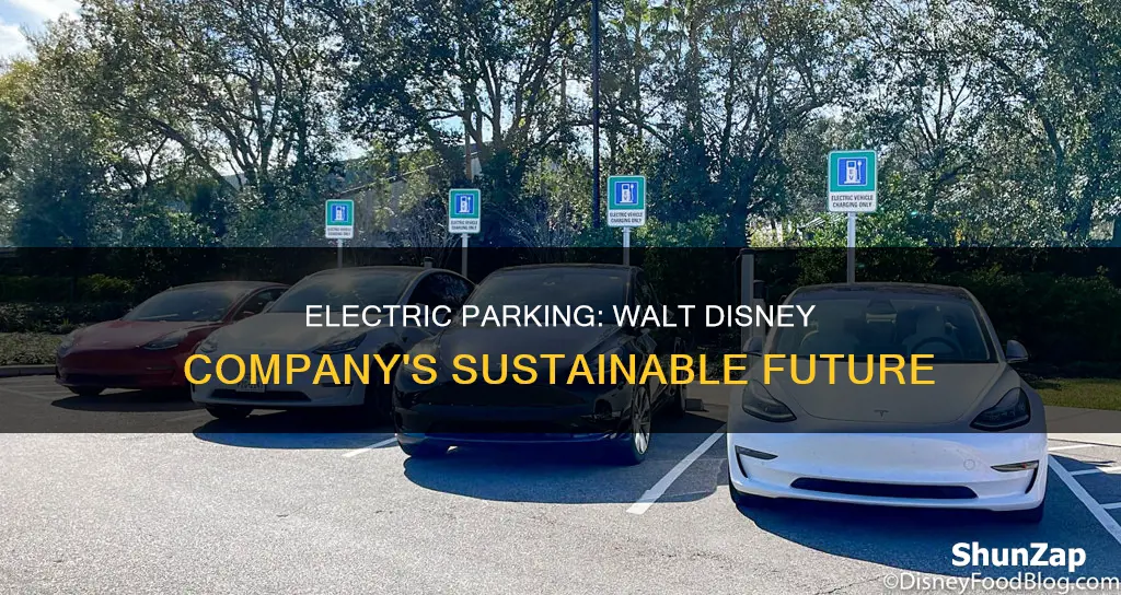 does walt disney company have electric parking