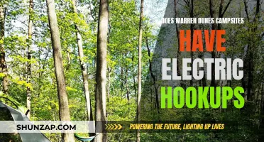 Camping at Warren Dunes: Electric Hookups Available?