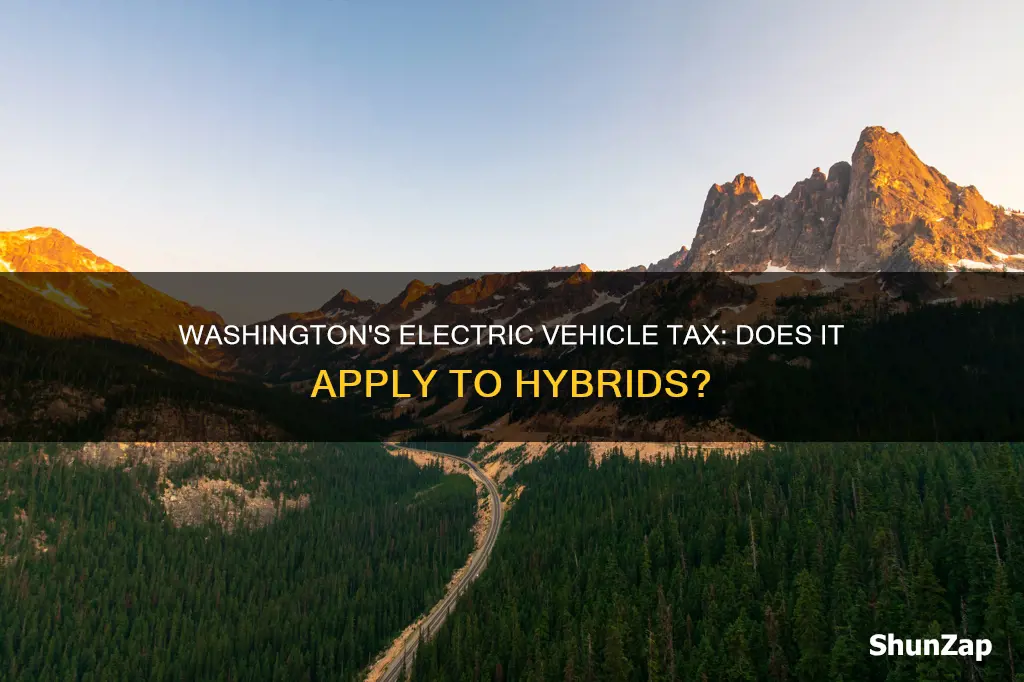 does washington electric vehicle tax apply to hybride