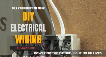 Electrical Wiring in Washington State: DIY or Not?