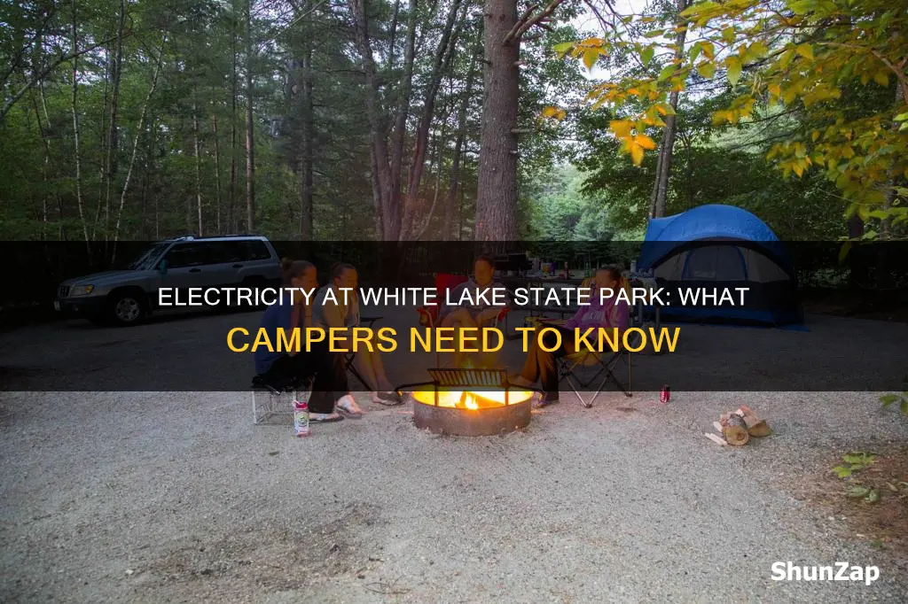does white lake state park have electricity