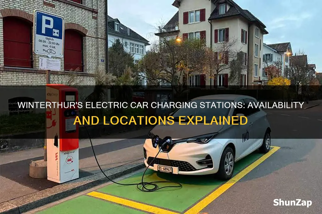 does wintertur have an electric car charging station