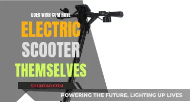 Wish.com's Electric Scooter Offerings: What's the Deal?