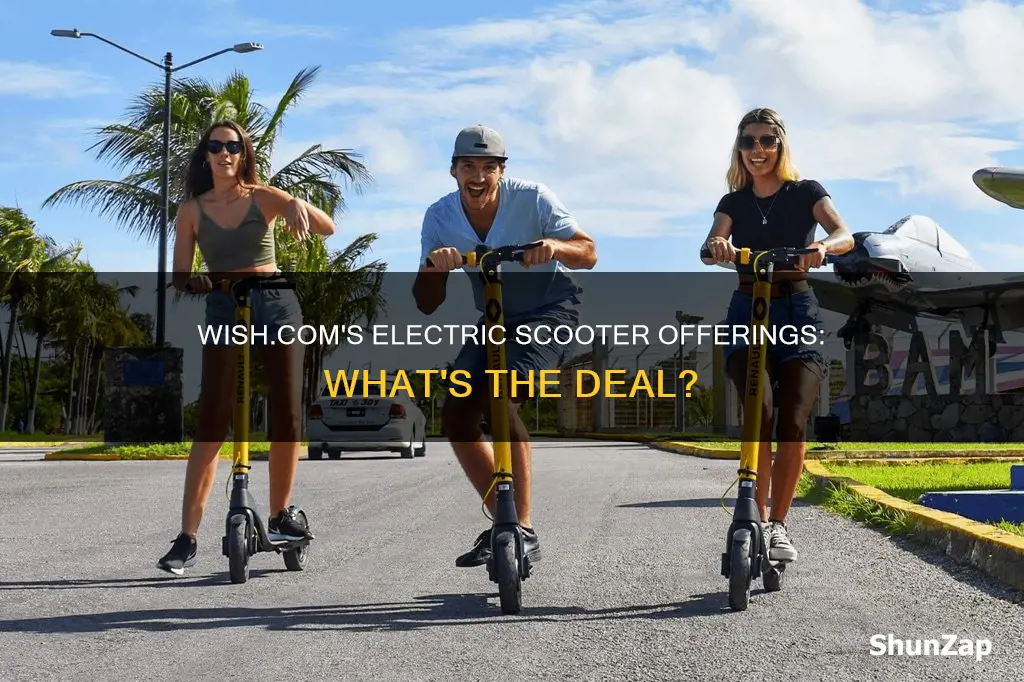 does wish com have electric scooter themselves