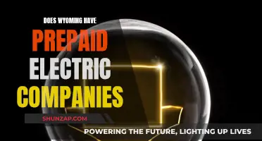Prepaid Electric Companies in Wyoming: What You Need to Know