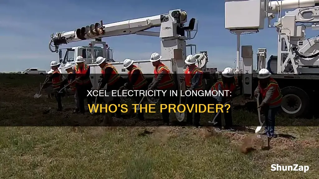 does xcel provide electricity to longmont colorado