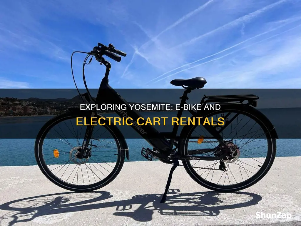 does yosemite rent out e-bikes or electric cards