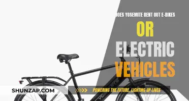 Yosemite's Electric Adventure: E-Bikes and EVs for Rent?