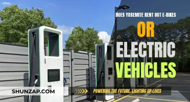 Exploring Yosemite: E-bike and Electric Vehicle Rentals