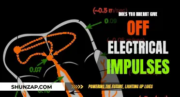 The Heart's Electrical Language