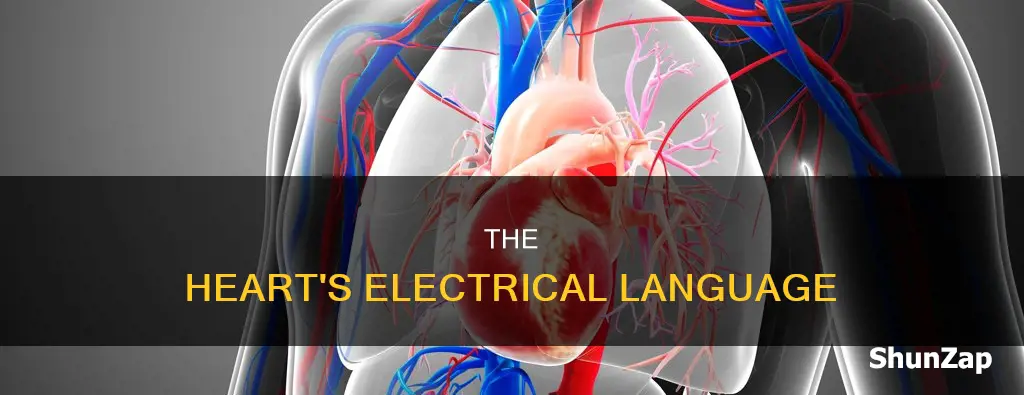 does you rheart give off electrical impulses