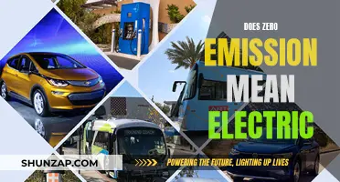 The Future of Cars: Zero Emission, Electric?