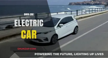 Does Zoe Electric Car Meet Your Eco-Friendly Driving Needs?