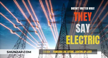 Electric Dreams: Powering Through Opinions